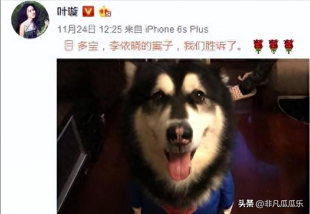 她靠古装美人大火,被狗咬毁容后,如今41岁靠“坏女人”翻身
