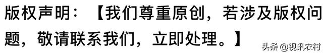 费县朱田,藏在春天里的美!