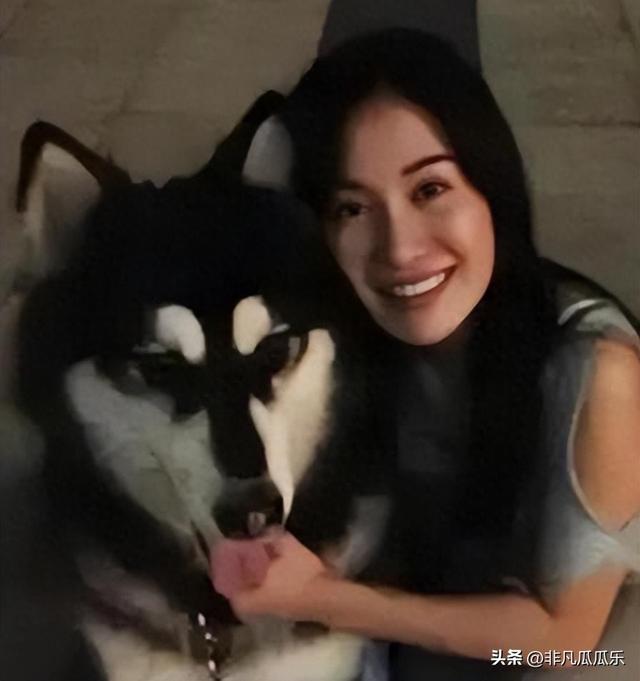 她靠古装美人大火,被狗咬毁容后,如今41岁靠“坏女人”翻身