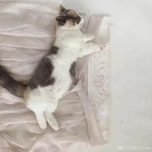 杭州美女摄影师塞班岛溺水身亡!出游千万要当心