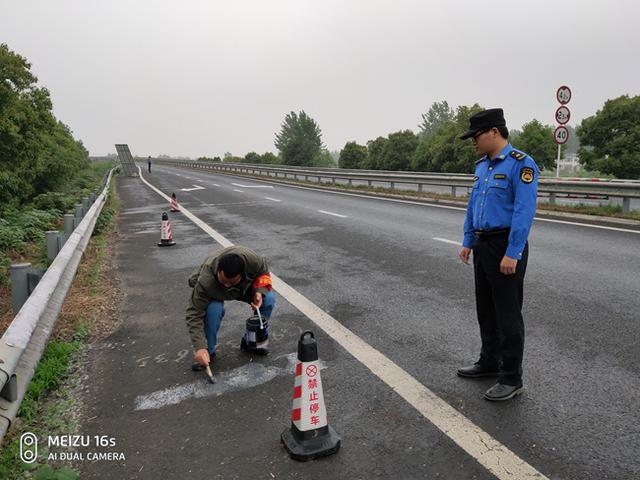 高速公路路面喷涂小广告,被城管查处罚300元