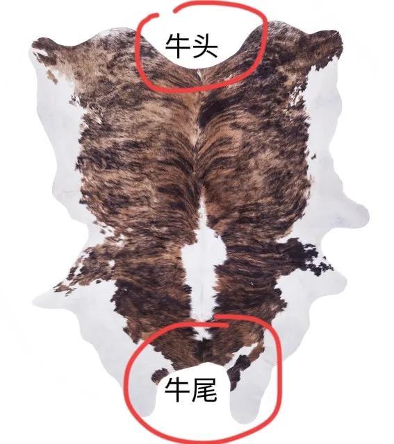 几百块钱一套的真皮座椅套,到底是不是真牛皮?