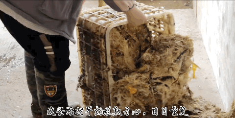 四川农妇“惊艳”众人,网友点赞超3000w:谁说农村妇女又土又丑