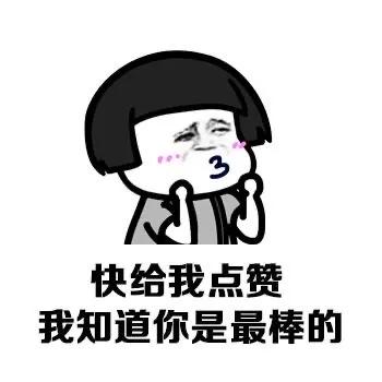 《声生不息》澳门特辑,四大美女同框。看网友的评论引起万千共鸣