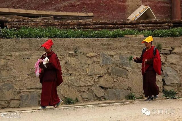 暑期甘南川西行：仙境净土佛国，一波波视觉震撼