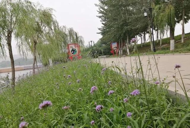 馆陶:美美花径,助力创城