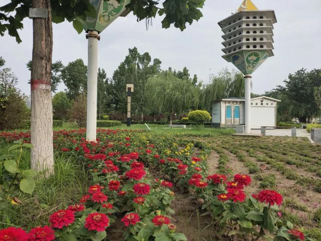 馆陶:美美花径,助力创城
