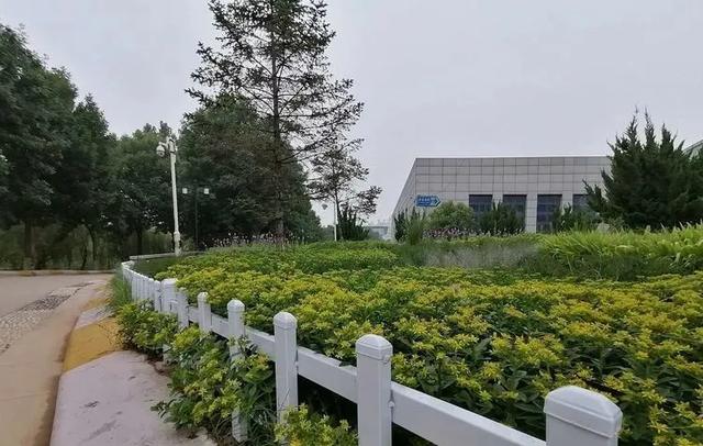 馆陶:美美花径,助力创城