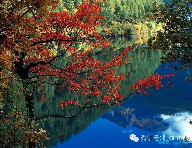 交通.坐飞机、火车、汽车如何到九寨沟旅游