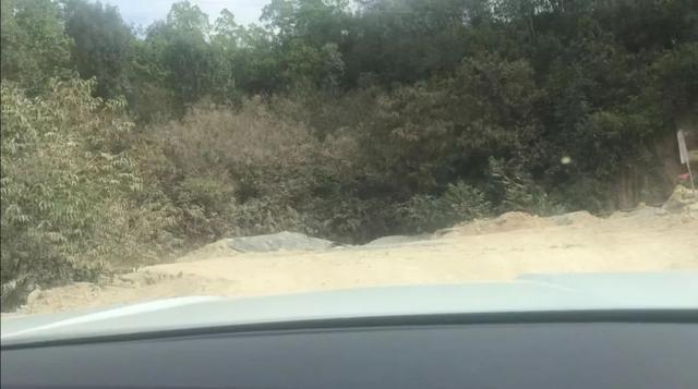 大众探岳有哪些优缺点?开了1500km后,这篇文章详细说了用车感受