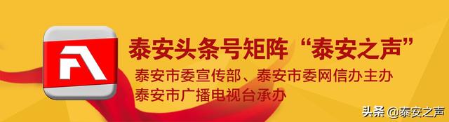 车辆过户了,你的号牌这样才能保留