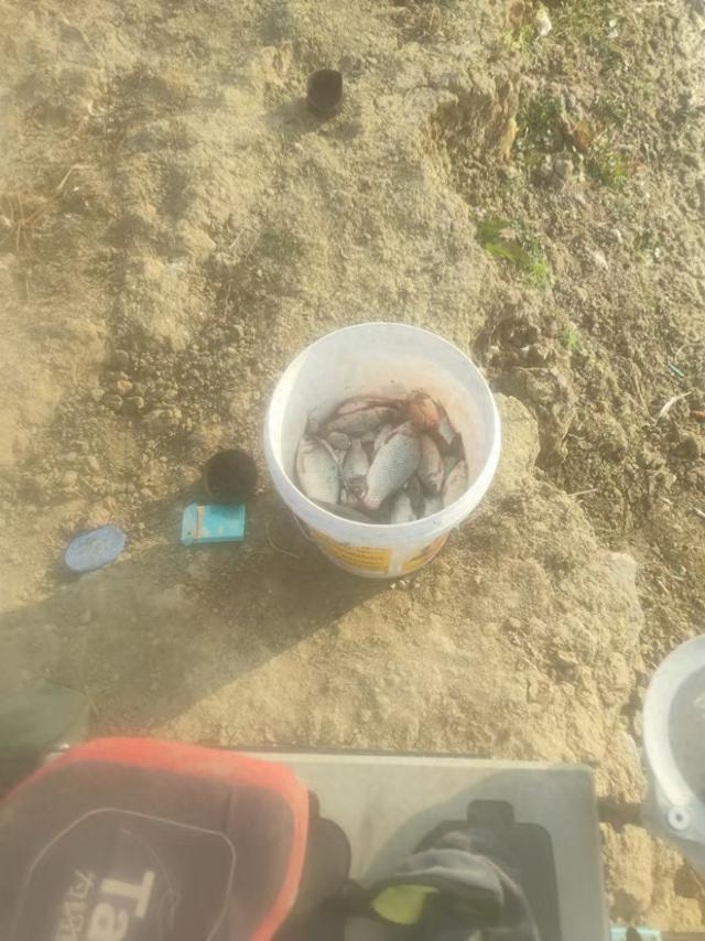 最近几次野钓爆护,分享一下经验和心得