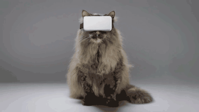 《头号玩家》的世界很心动？猫咪VR眼镜了解一下