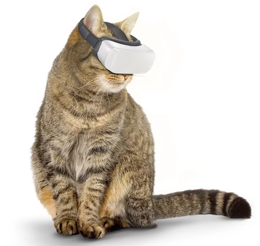 《头号玩家》的世界很心动？猫咪VR眼镜了解一下
