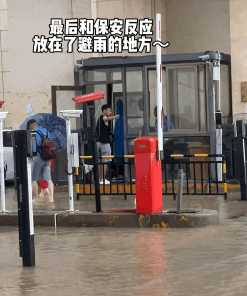 暴雨过后，北京12345救下濒死小奶猫，直接收编…这是成功上岸了？