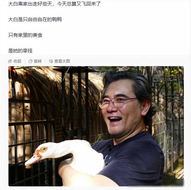 周迅，陈红对他一见倾心，一生未婚未育，如今62岁在乡下养猫种