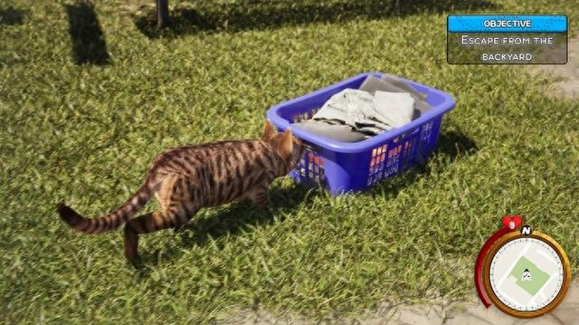 《猫咪生活模拟器》游戏上架Steam，可扮演宠物在城市中探索
