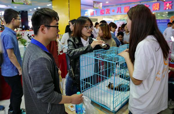 免费领养，我们是认真的！郑州16只流浪猫狗“求带走”