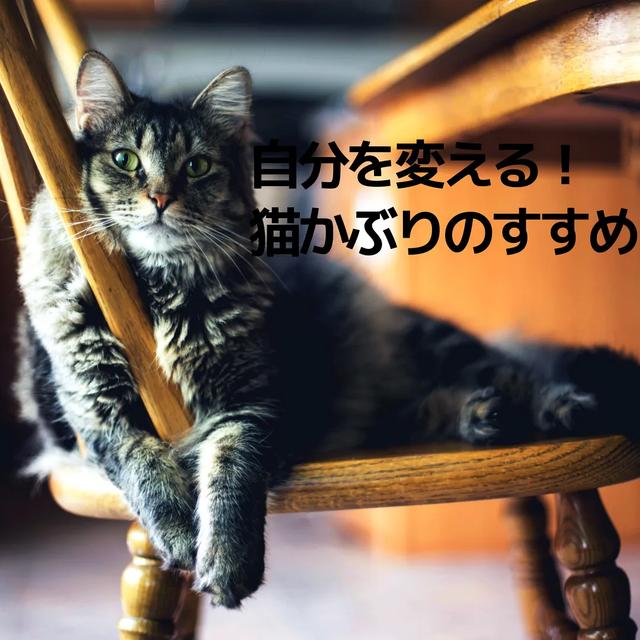 日语词汇大发现┃猫可愛がり（溺爱）