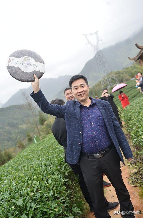 共享茶庄园！白茶市场火热，福鼎产区领养白茶树成风潮