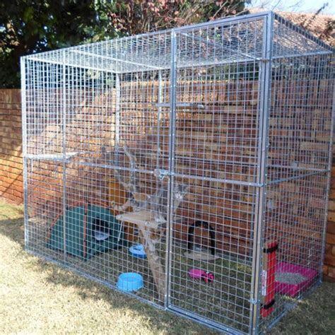 分享家里备猫笼的实用原因，放养家庭为何需要猫笼