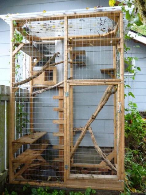 分享家里备猫笼的实用原因，放养家庭为何需要猫笼