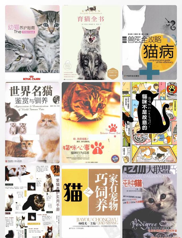 15本养猫的书籍