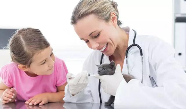 猫咪一定要打疫苗吗？家有猫咪一定看！