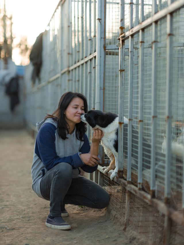 北京流浪动物救助者李林：“让它们都有一个家”