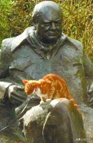 列宁、林肯、丘吉尔、达芬奇……历史上都有哪些名人是“猫奴”？