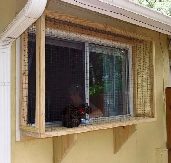封窗户阳台的基本方法，养猫的朋友看过来咯