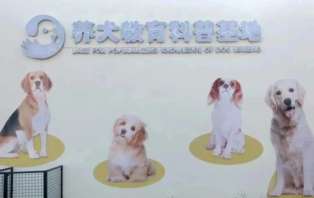 全部免费！深圳最全宠物公园名单！各区都有