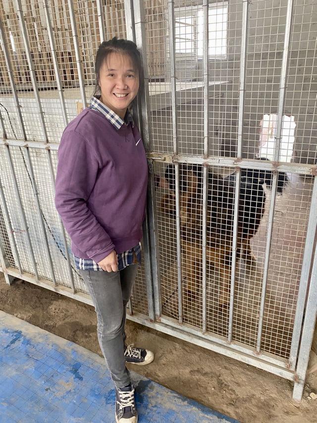 北京流浪动物救助者李林：“让它们都有一个家”