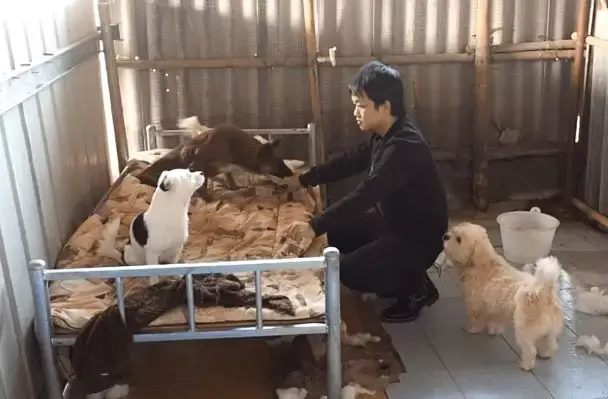 广州佛山免费领养，救助站里超乖的狗狗，非常适合上班族