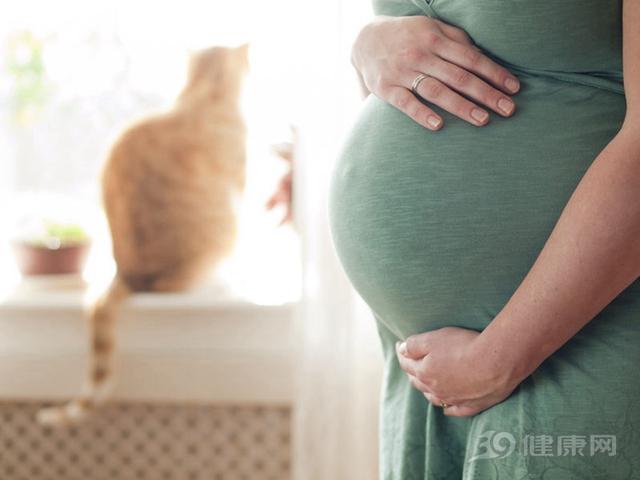 怀孕后家里不能养猫狗？妇产科医生给出权威答案，这次终于明白了
