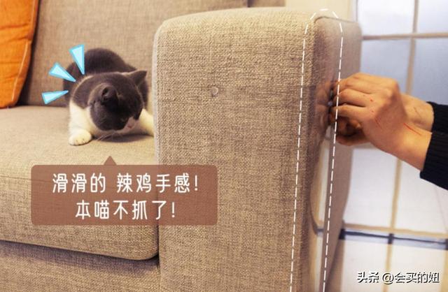 家里有宠物，如何挑选一款抗猫抓狗刨的沙发？过来人的建议值得学