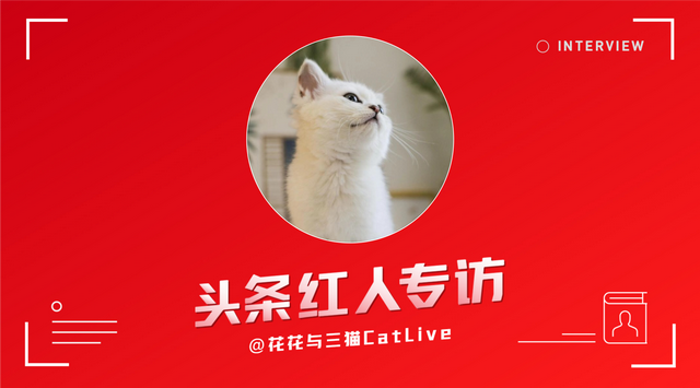 对话花花与三猫：四川小姐姐养猫，一年涨粉234万，如何做到的？