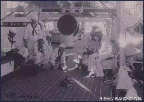 中国为什么不学西方海军在军舰上养猫？因为我们船上没老鼠？