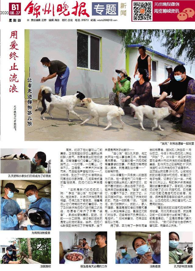 锦州：用爱终止流浪——记者走进猫狗孤儿院