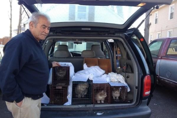 回收工人每天喂养流浪猫，拯救猫咪多达70只，足足坚持了24年