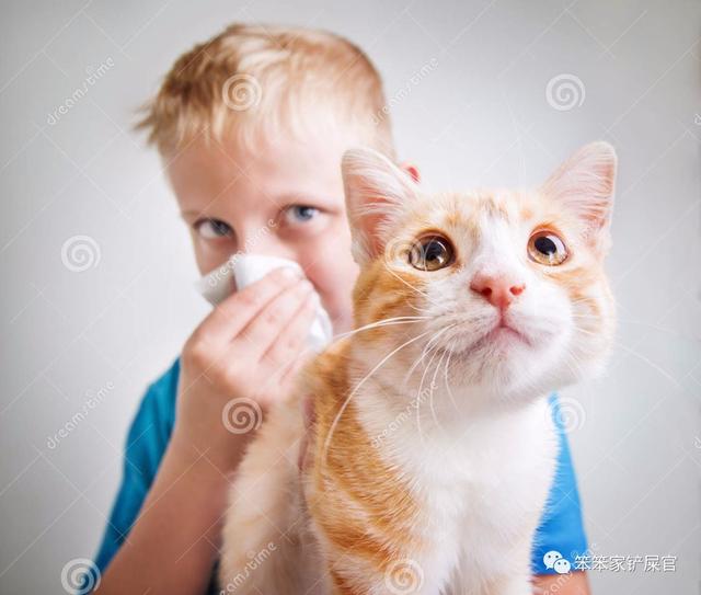 猫咪身上细菌那么多，你们不怕被感染？