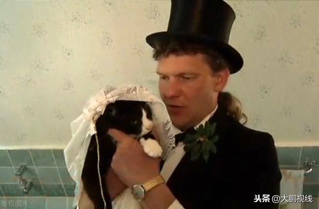 39岁男子娶15岁母猫为妻，只因爱猫成痴欲罢不能，爱得太深