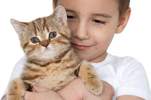 家里有小孩可以养猫吗？注意这几点就可以安心养猫