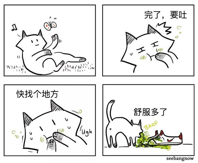 漫画：8个养猫的扎心瞬间，看完泪崩