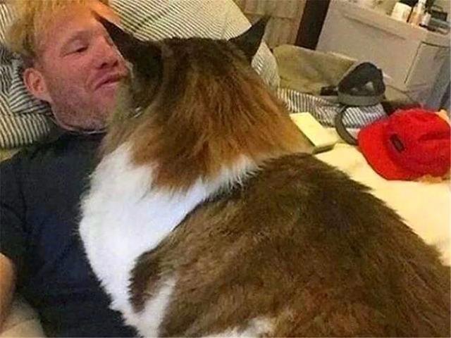 铲屎官将养猫当成事业，成功收获两百斤肥猫，每晚被猫当床垫！