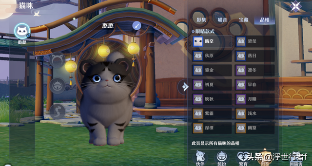 梦幻新诛仙：仙府养猫系统详解，拥有一只猫咪可以体验哪些玩法？