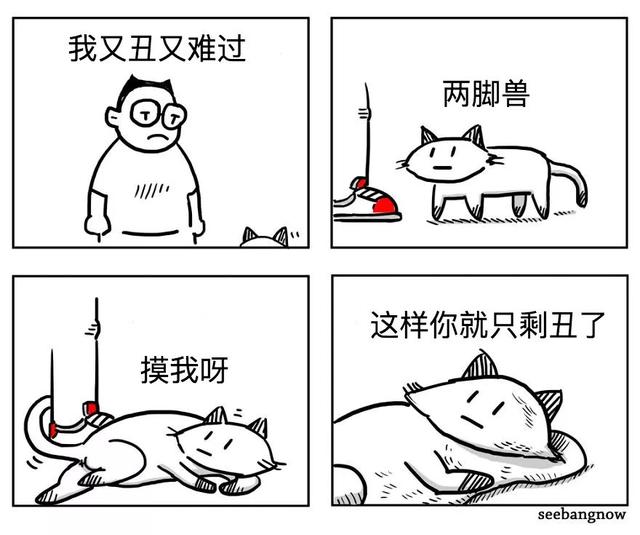 漫画：8个养猫的扎心瞬间，看完泪崩