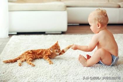 家中有婴儿可以养猫吗？需要注意什么呢？