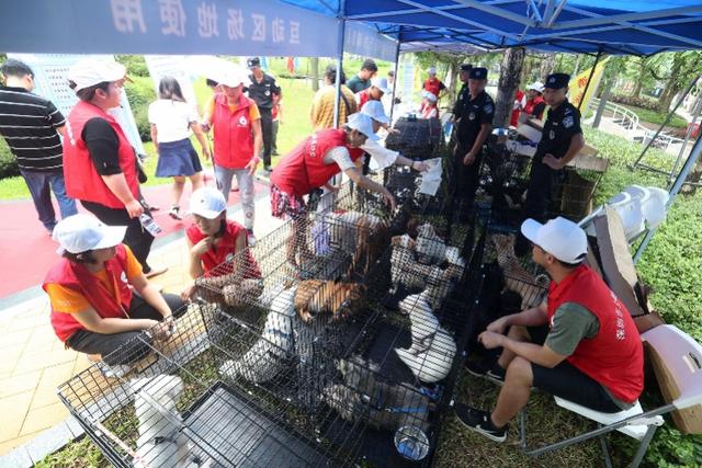 深圳官方开设宠物领养区，有市民们冒雨来签约当铲屎官