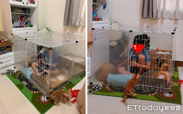 正确使用猫笼的方法，怕被咬，兄妹把自己关进去